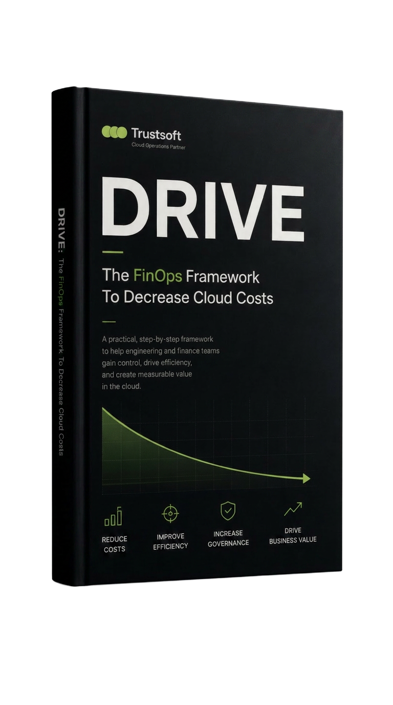 DRIVE: The FinOps Framework To Decrease Cloud Costs book cover